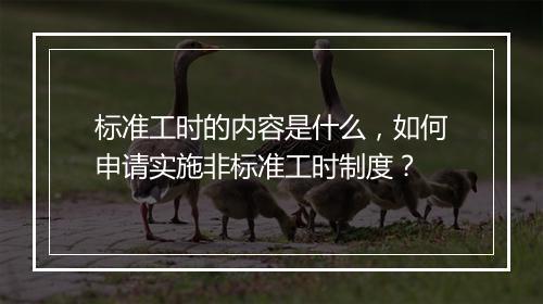 标准工时的内容是什么，如何申请实施非标准工时制度？