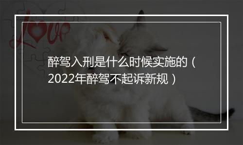 醉驾入刑是什么时候实施的（2022年醉驾不起诉新规）