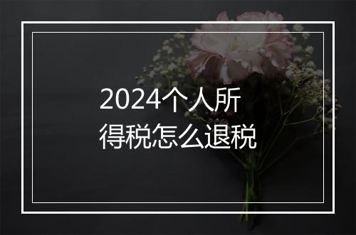 2024个人所得税怎么退税