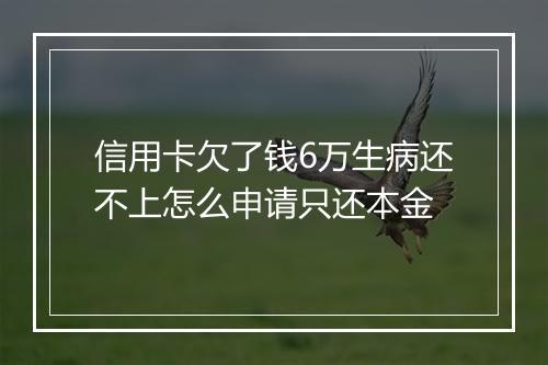 信用卡欠了钱6万生病还不上怎么申请只还本金