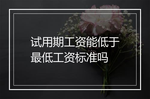试用期工资能低于最低工资标准吗