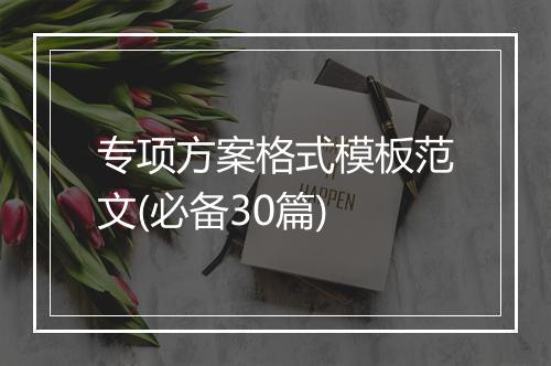 专项方案格式模板范文(必备30篇)