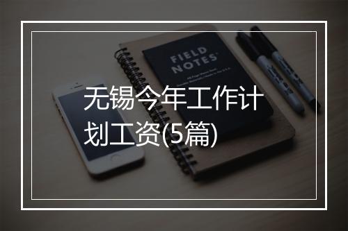 无锡今年工作计划工资(5篇)