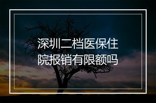 深圳二档医保住院报销有限额吗