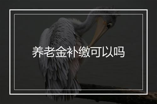 养老金补缴可以吗