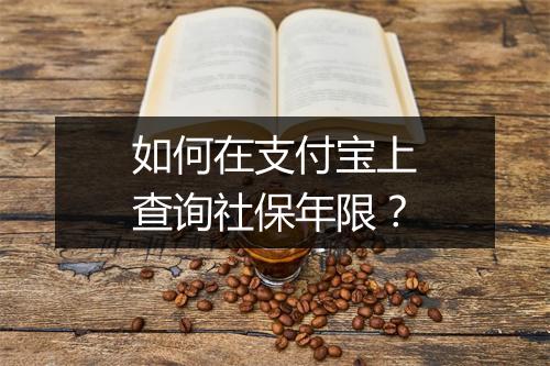 如何在支付宝上查询社保年限？