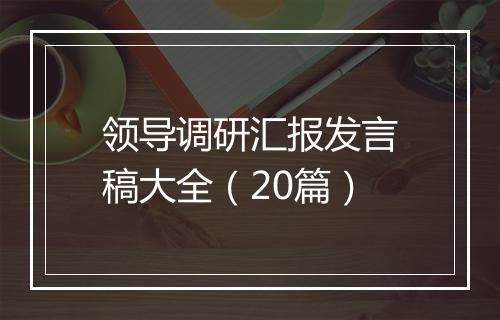 领导调研汇报发言稿大全（20篇）
