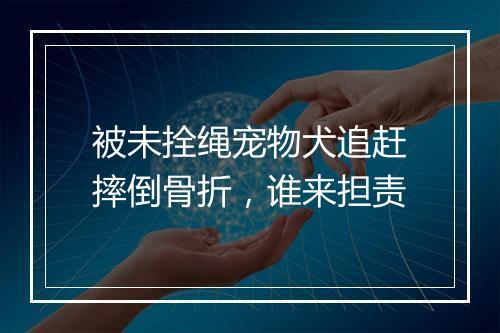 被未拴绳宠物犬追赶摔倒骨折，谁来担责