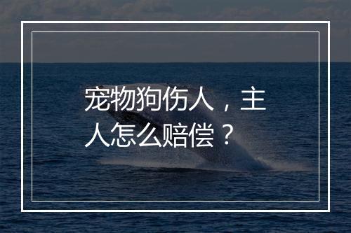 宠物狗伤人，主人怎么赔偿？