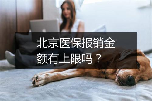 北京医保报销金额有上限吗？