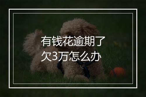 有钱花逾期了欠3万怎么办