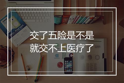 交了五险是不是就交不上医疗了