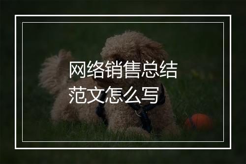 网络销售总结范文怎么写