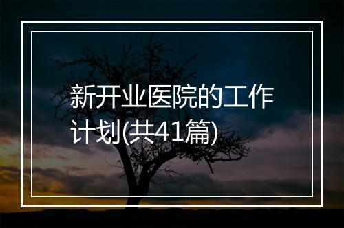 新开业医院的工作计划(共41篇)