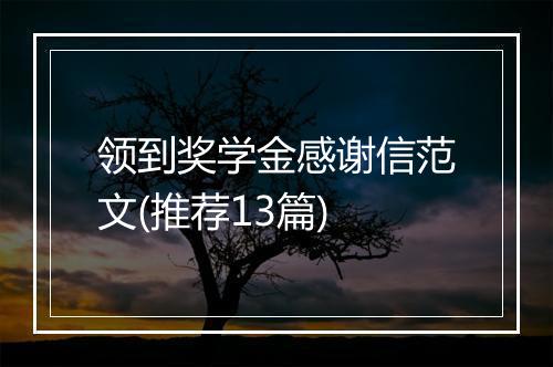 领到奖学金感谢信范文(推荐13篇)