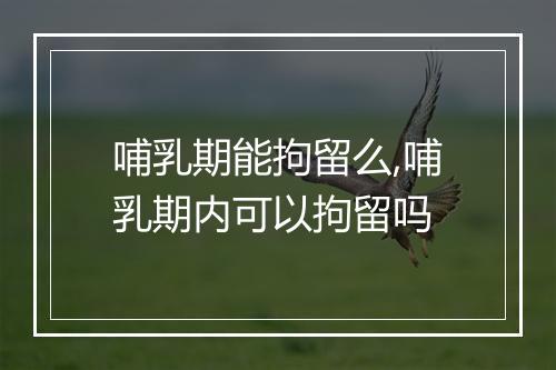 哺乳期能拘留么,哺乳期内可以拘留吗