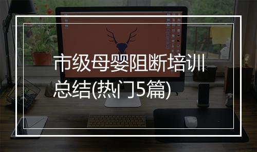 市级母婴阻断培训总结(热门5篇)