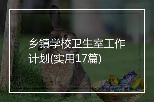 乡镇学校卫生室工作计划(实用17篇)