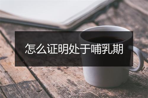 怎么证明处于哺乳期