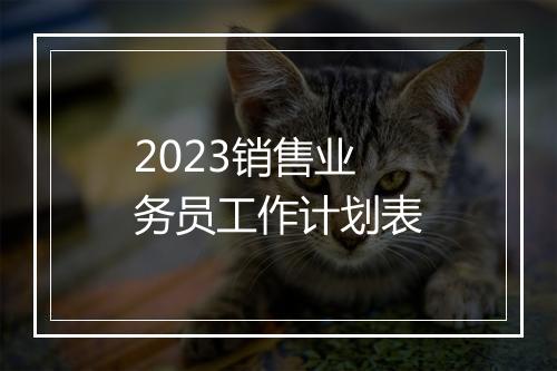 2023销售业务员工作计划表