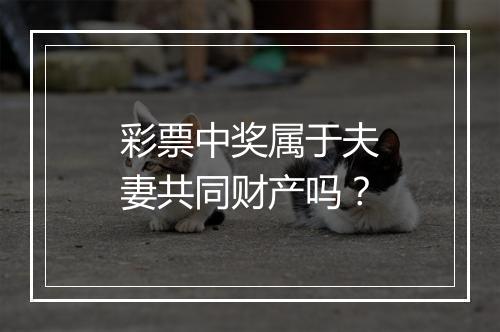 彩票中奖属于夫妻共同财产吗？