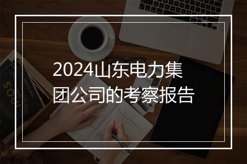 2024山东电力集团公司的考察报告