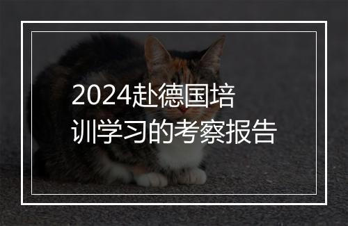2024赴德国培训学习的考察报告