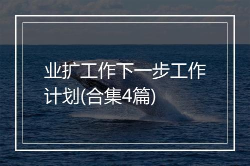 业扩工作下一步工作计划(合集4篇)