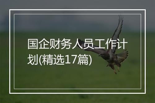 国企财务人员工作计划(精选17篇)