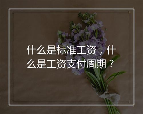 什么是标准工资，什么是工资支付周期？