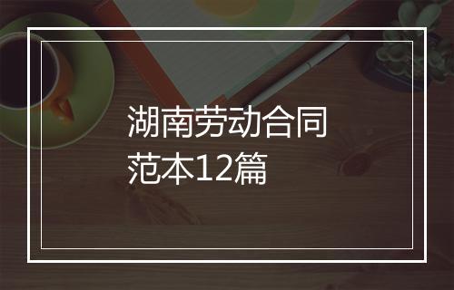 湖南劳动合同范本12篇