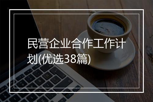 民营企业合作工作计划(优选38篇)