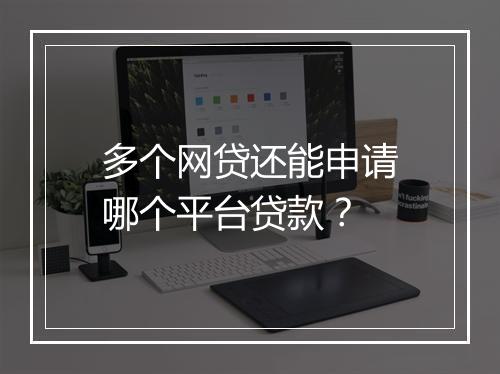 多个网贷还能申请哪个平台贷款？