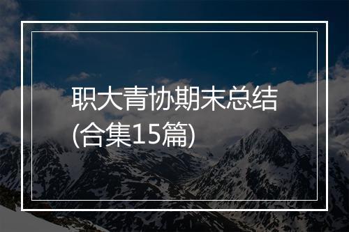 职大青协期末总结(合集15篇)