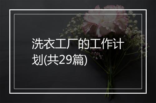 洗衣工厂的工作计划(共29篇)