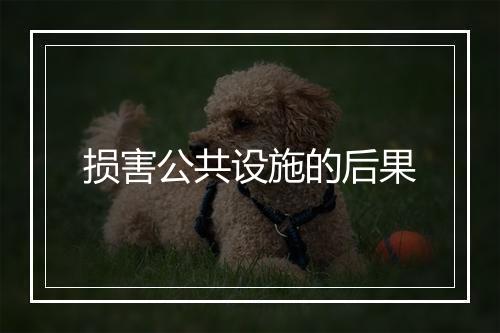 损害公共设施的后果