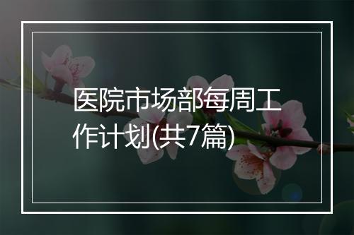 医院市场部每周工作计划(共7篇)