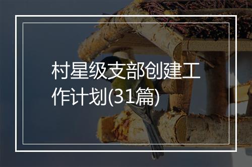 村星级支部创建工作计划(31篇)