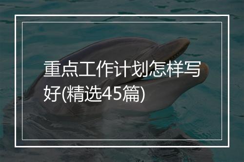 重点工作计划怎样写好(精选45篇)