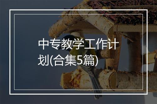 中专教学工作计划(合集5篇)
