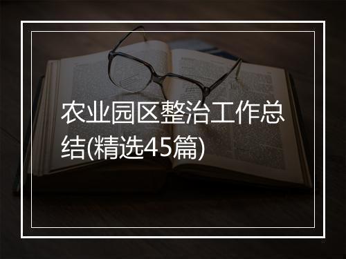 农业园区整治工作总结(精选45篇)