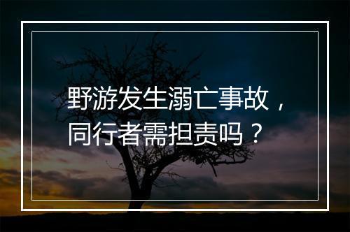 野游发生溺亡事故，同行者需担责吗？
