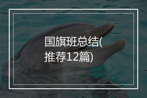 国旗班总结(推荐12篇)