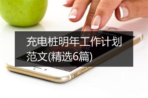 充电桩明年工作计划范文(精选6篇)