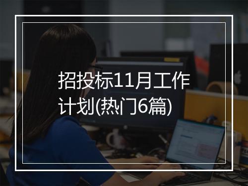 招投标11月工作计划(热门6篇)