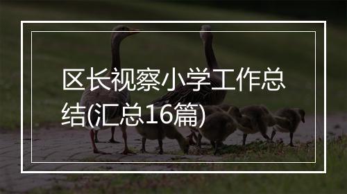 区长视察小学工作总结(汇总16篇)