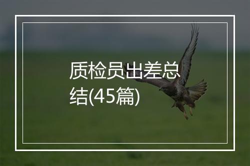质检员出差总结(45篇)