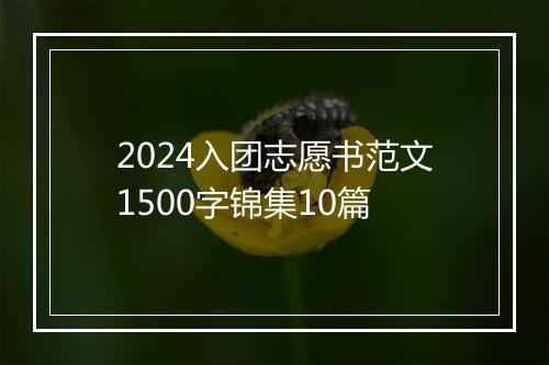 2024入团志愿书范文1500字锦集10篇