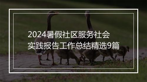 2024暑假社区服务社会实践报告工作总结精选9篇