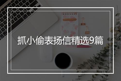 抓小偷表扬信精选9篇